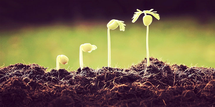 河南成考專升本農(nóng)學專業(yè)