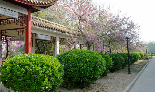 河南省水利水電學(xué)校 河南省水利水電學(xué)校