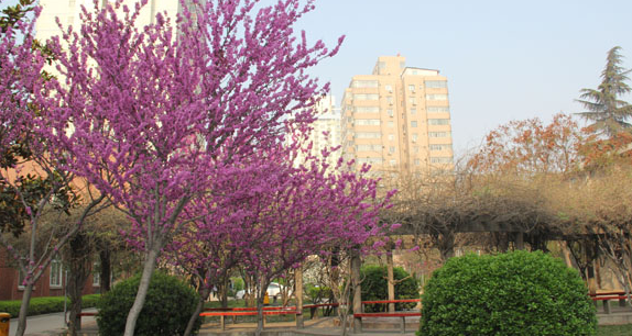 河南省幼兒師范學(xué)校 河南省幼兒師范學(xué)校