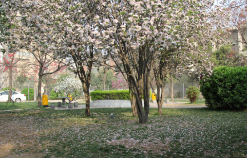 鄭州外資企業(yè)管理中等專業(yè)學(xué)校 鄭州外資企業(yè)管理中等專業(yè)學(xué)校