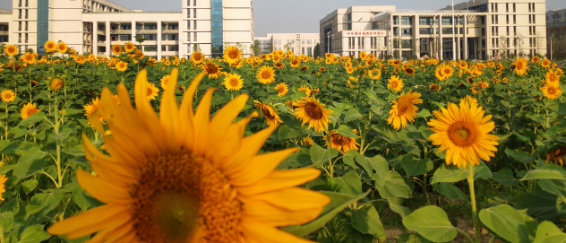 輝縣市第一職業(yè)中等專業(yè)學(xué)校