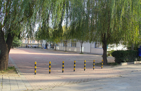 濮陽雜技藝術學校 濮陽雜技藝術學校