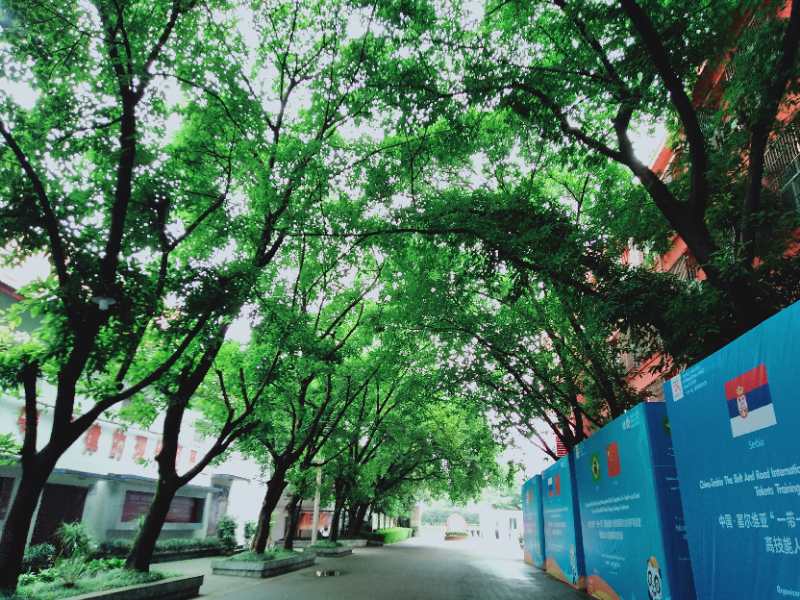 周口市衛(wèi)生職業(yè)中等專業(yè)學(xué)校 周口市衛(wèi)生職業(yè)中等專業(yè)學(xué)校