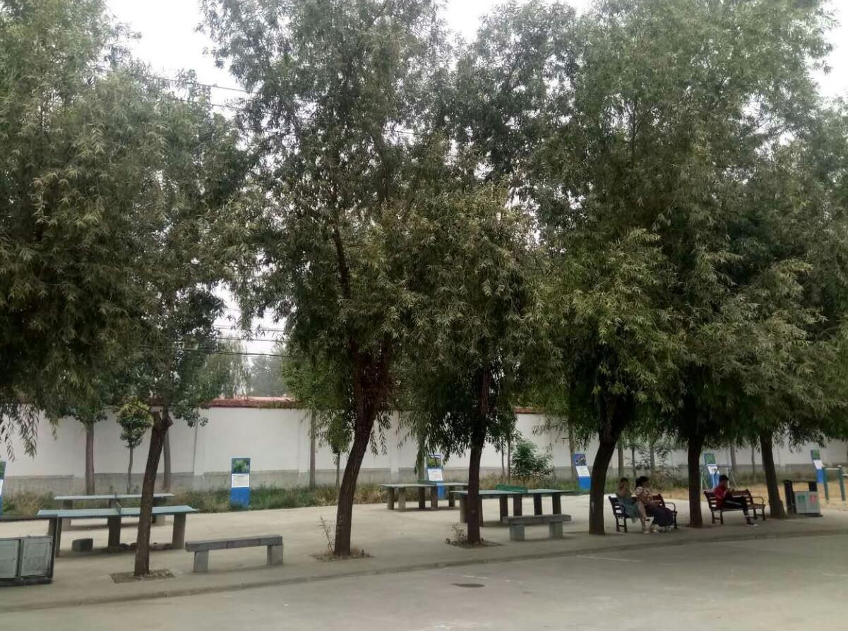 洛陽(yáng)中醫(yī)藥學(xué)校校園環(huán)境