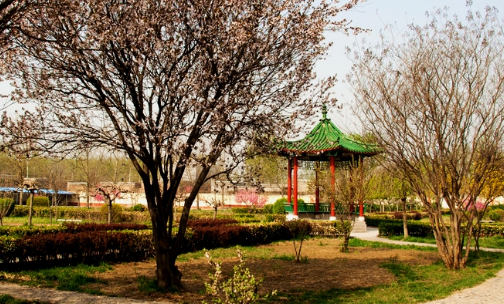 洛陽市第一職業(yè)高中 洛陽市第一職業(yè)高中